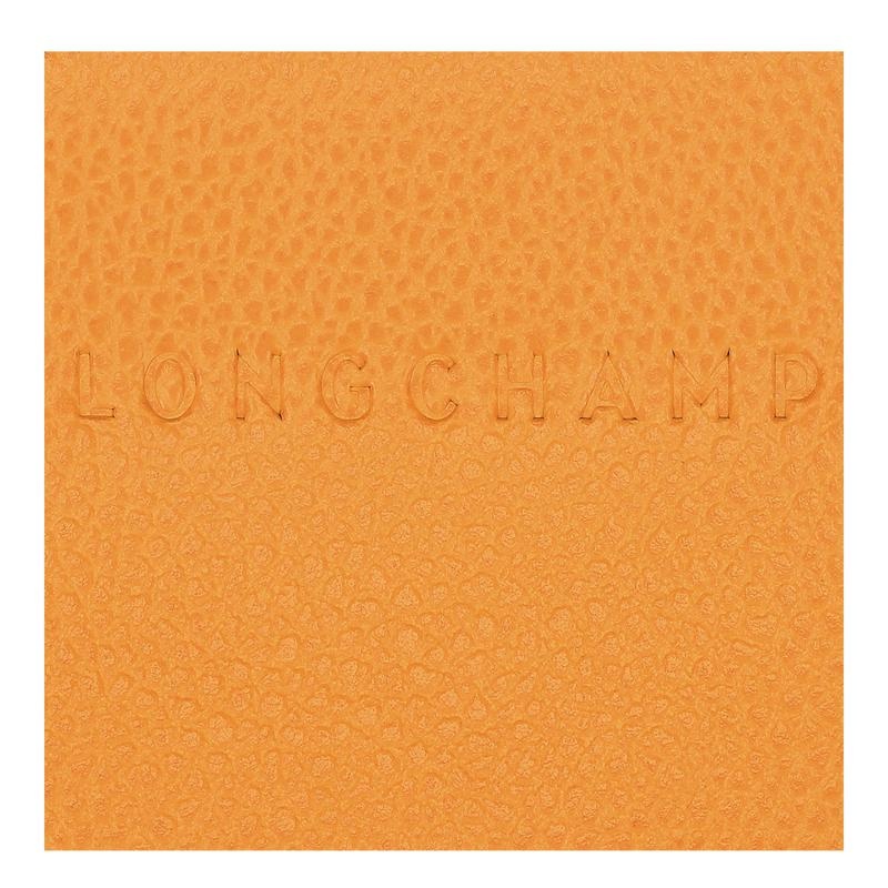 Longchamp Le Foulonné Kartenhalter Herren Aprikose Orange | 8726-SJNHP