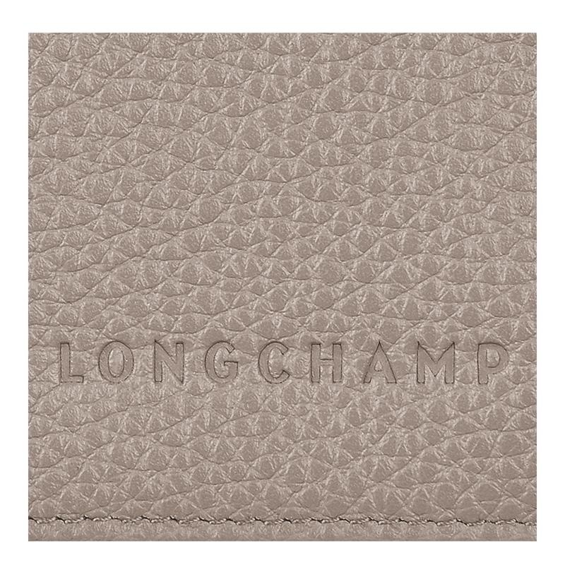 Longchamp Le Foulonné Passport cover Reisetasche Damen Grau | 8519-DETAJ